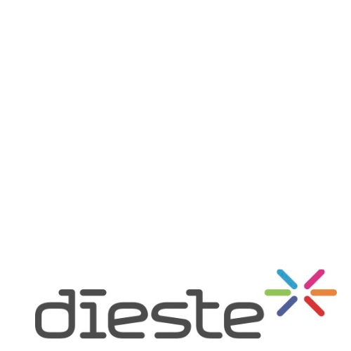https://portfolionight.com/wp-content/uploads/2024/11/Dieste-Logo.jpg